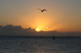 Sunset Flight, Key West, Florida.