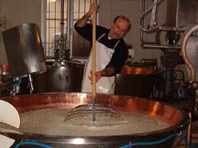 Breaking up the curds in Parmigiano Reggiano production