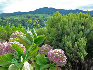 Despe-te-que-suas Viewpoint, Sao Miguel, Azores